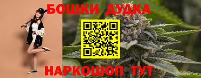 стафф Кандалакша