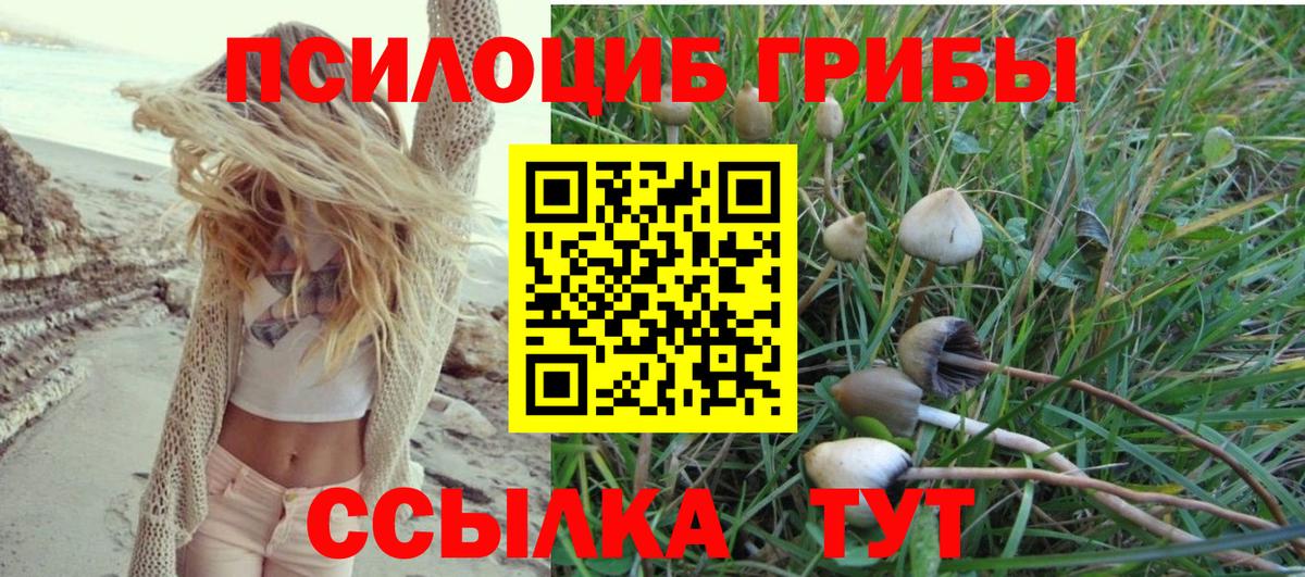 Галлюциногенные грибы мухоморы Лениногорск