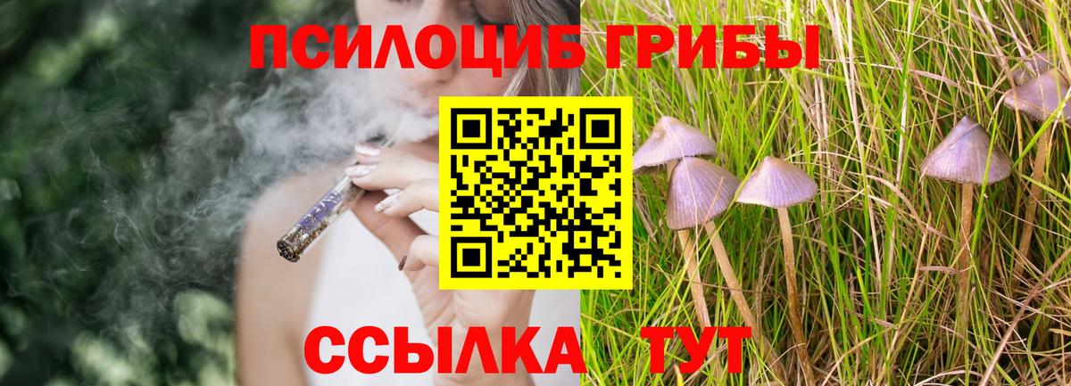 Лениногорск  Галлюциногенные грибы Cubensis  Вход с VPN 